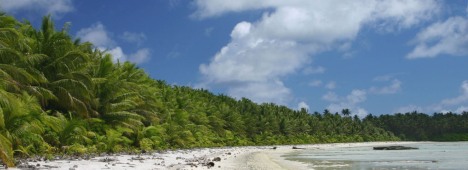 Palmyra's North Beach