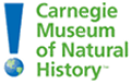 Link to Carnegie Museum of Natural History